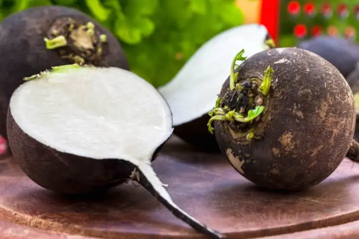 Black Radish Juice Benefits