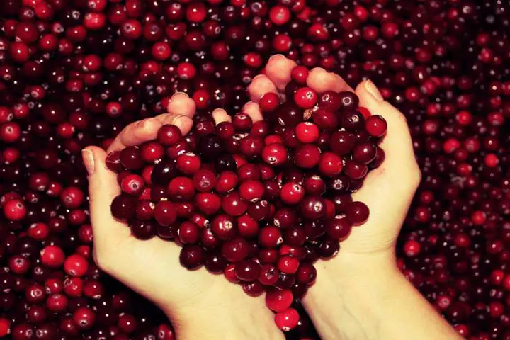 The Mask Of Cranberries Facial