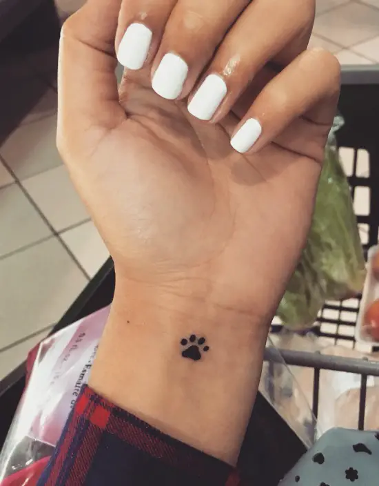 small cat paw print tattoo