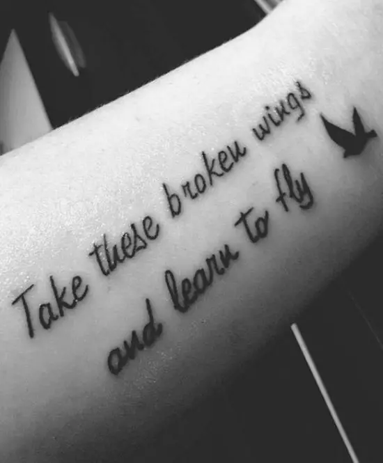 take these broken wings and learn to fly
