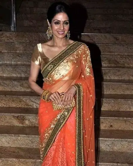 Sridevi In Organza Saree