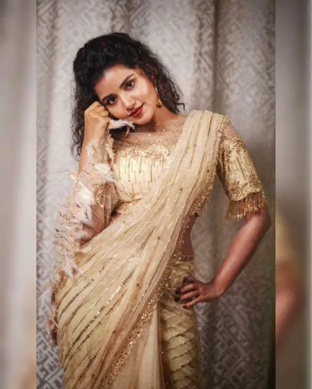 Anupama Parameswaran in Golden Net Saree