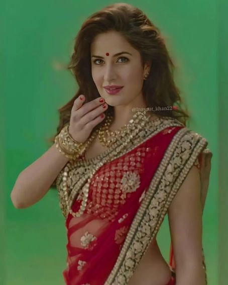 Grand Look In Pink With Golden Border In Katrina Kaif