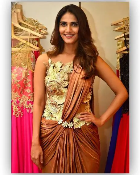 Silky Brown Saree Of Vaani Kapoor