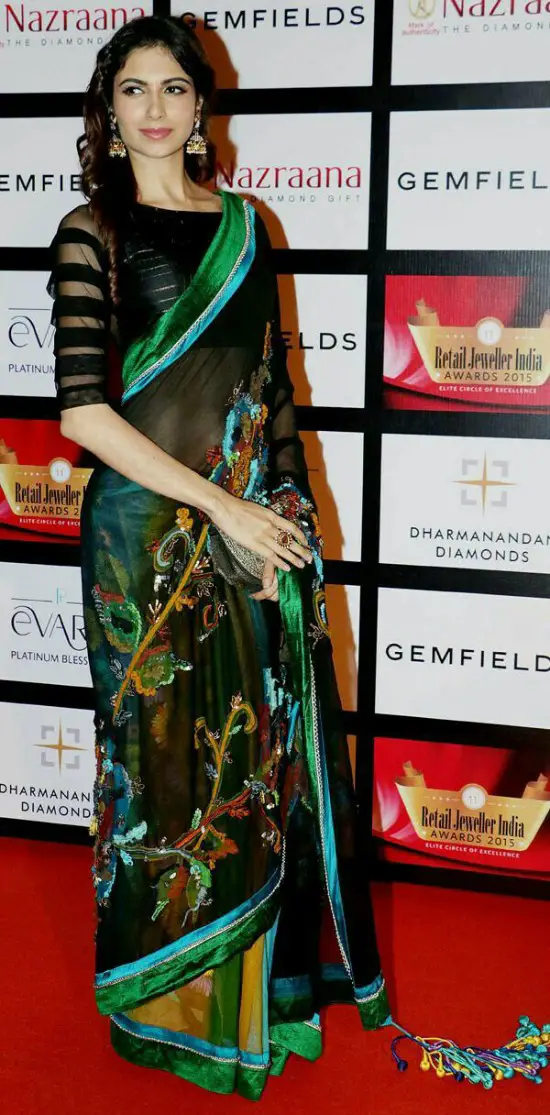 Multicolor Chiffon Saree With Designer Blouse