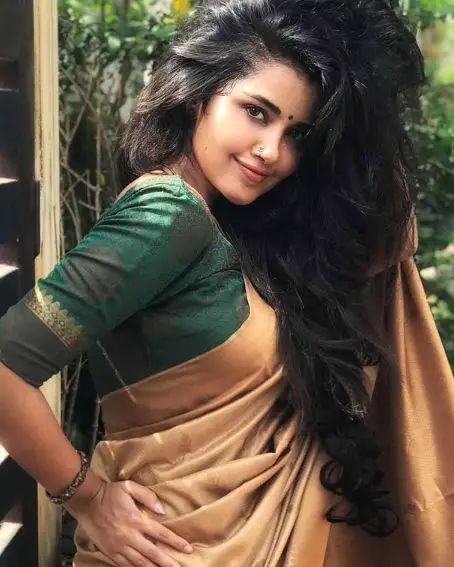 Anupama Parameswaran in Golden Silk Saree