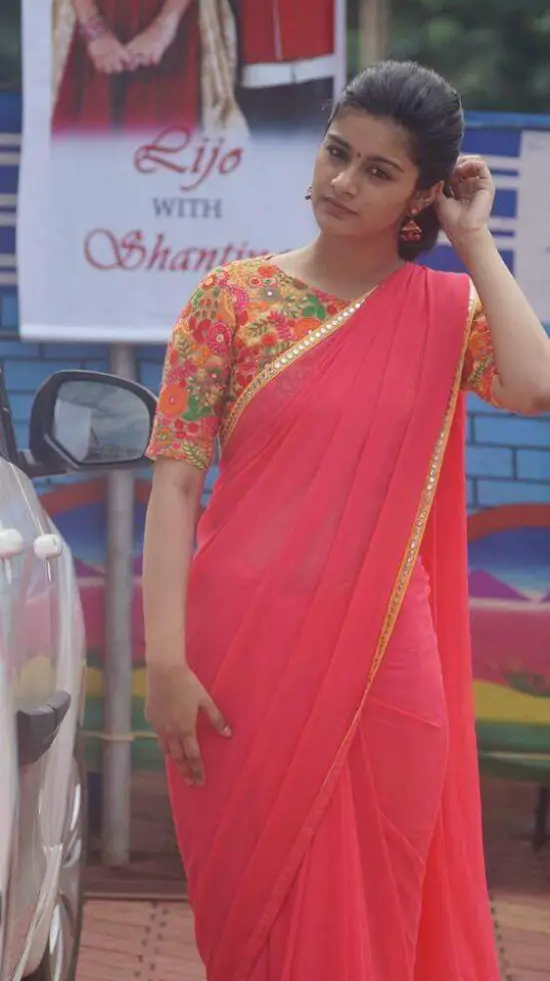 19 Amazing Pics of plain saree with designer blouse