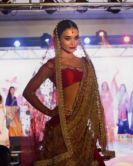 Amazing Wedding Saree Of Amy Jackson