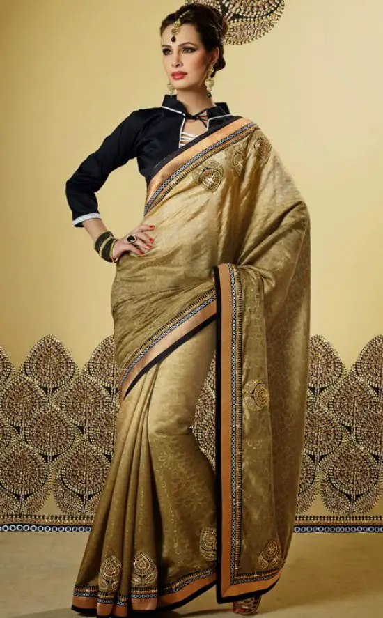 Divine Beige and Gold Color Embroidered Saree With Black Full Sleeve Collar Neck Blouse