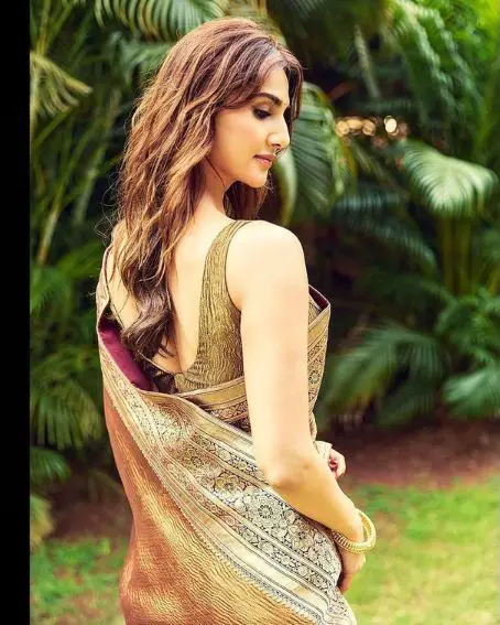 Golden Finish Saree Of Vaani Kapoor