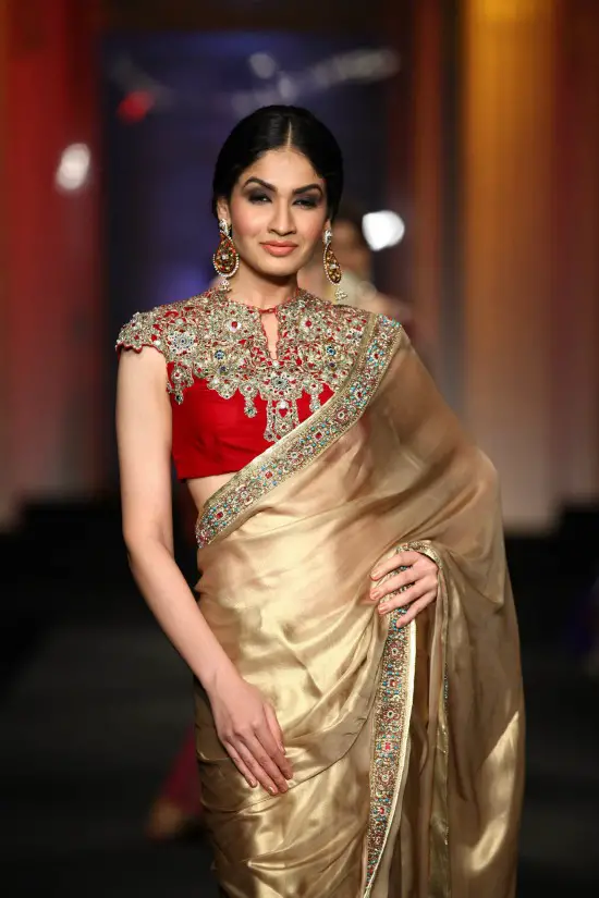 Cap Sleeve Blouse With Soft Gold Tone Saree