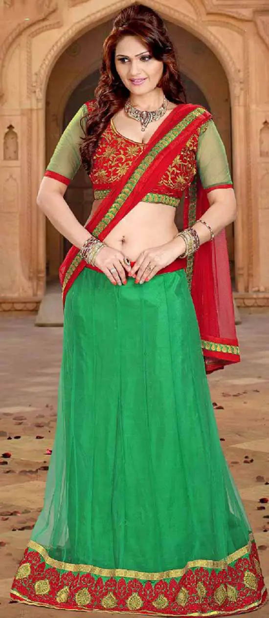 Green And Red Net Border Work Lehenga