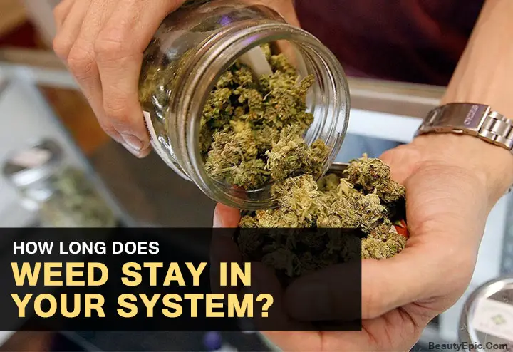 How Long Does Weed Stay in Your System