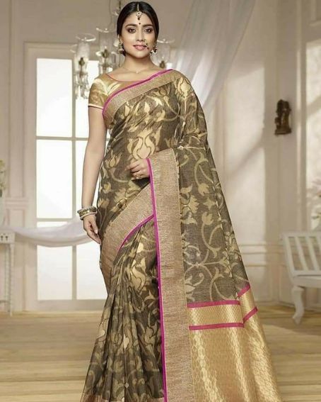 Shriya Saran In Gold And Black With Pink Border Saree