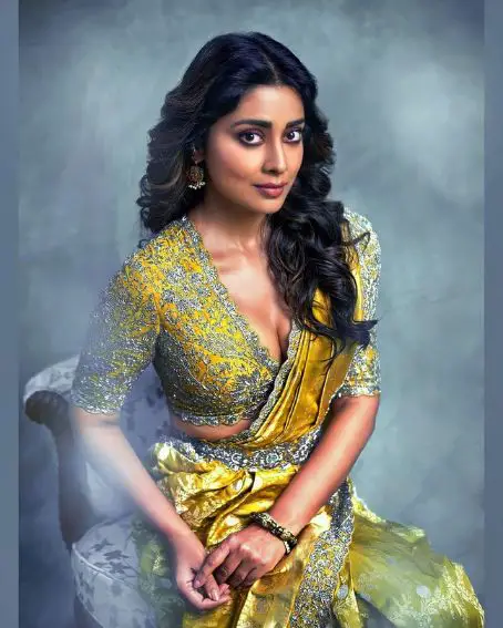 Shriya Saran In Gold Saree With Grand Blouse