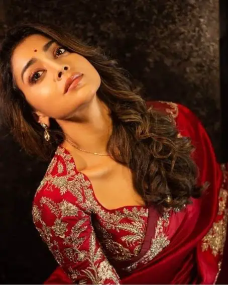 Shriya Saran In Gorgeous Embroidery Designer Saree