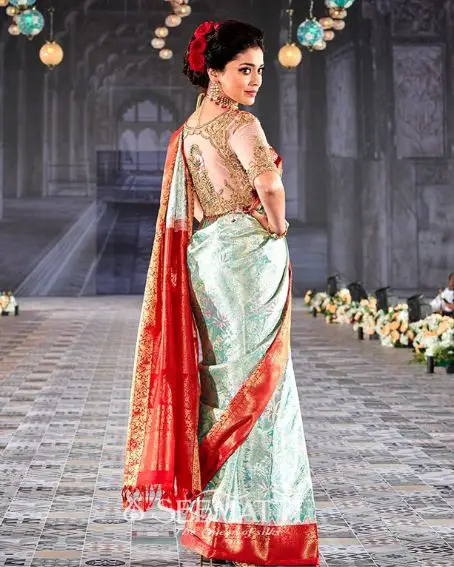 Shriya Saran In Kancheepuram Saree