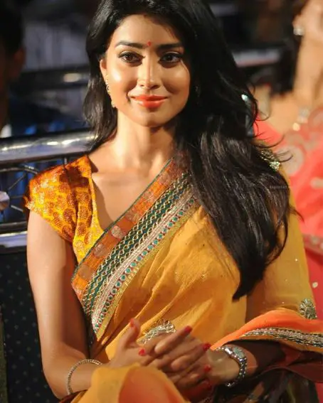 Shriya Saran In Traditional Look Yellow Saree