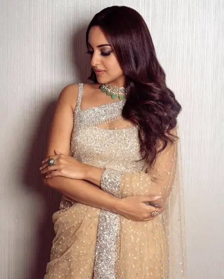 Sonakshi Sinha In Beautiful Netted Saree With Stone Work