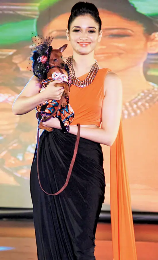 Tamanna Bhatia In Black And Orange Saree Gown