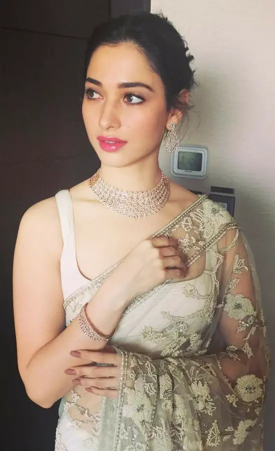 Tamanna Bhatia In a Shehla Khan White Net Saree - 1