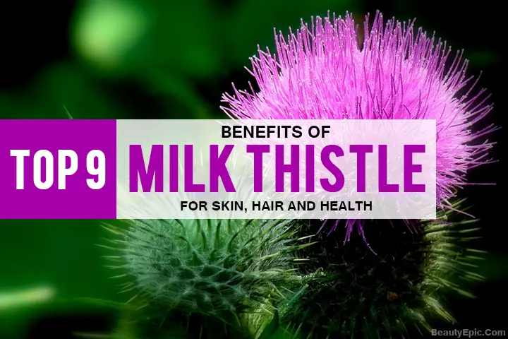 benefits of milk thistle