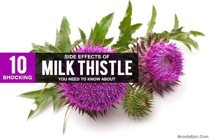 side effects of milk thistle