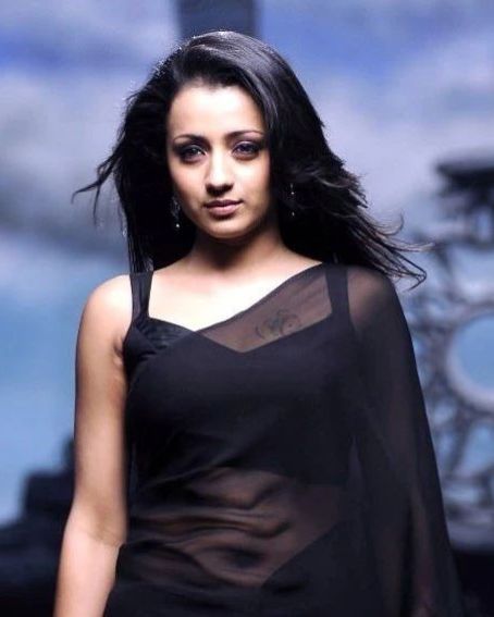 Trisha In Black Plane Saree