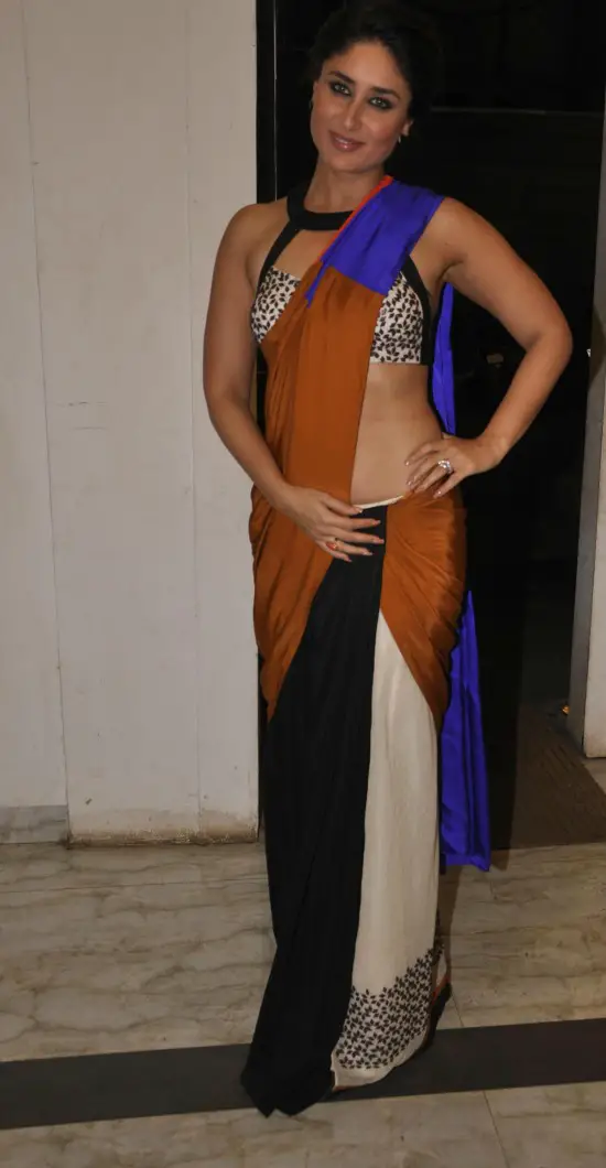 kareena kapoor Multicolor Saree