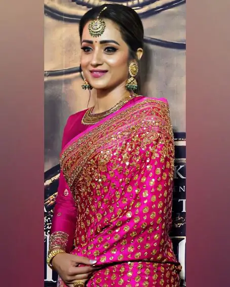 Trisha In Pink Saree With Chamki Work 