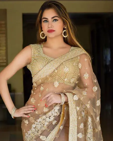 Net Designer Golden Saree With Stone Embellished Golden Blouse