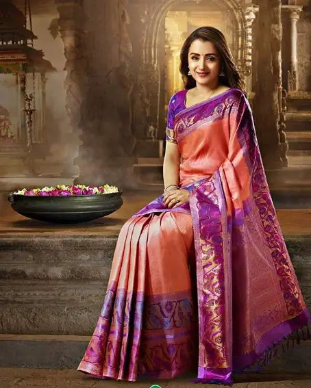 Trisha In Peach Saree With Purple Floral Border 