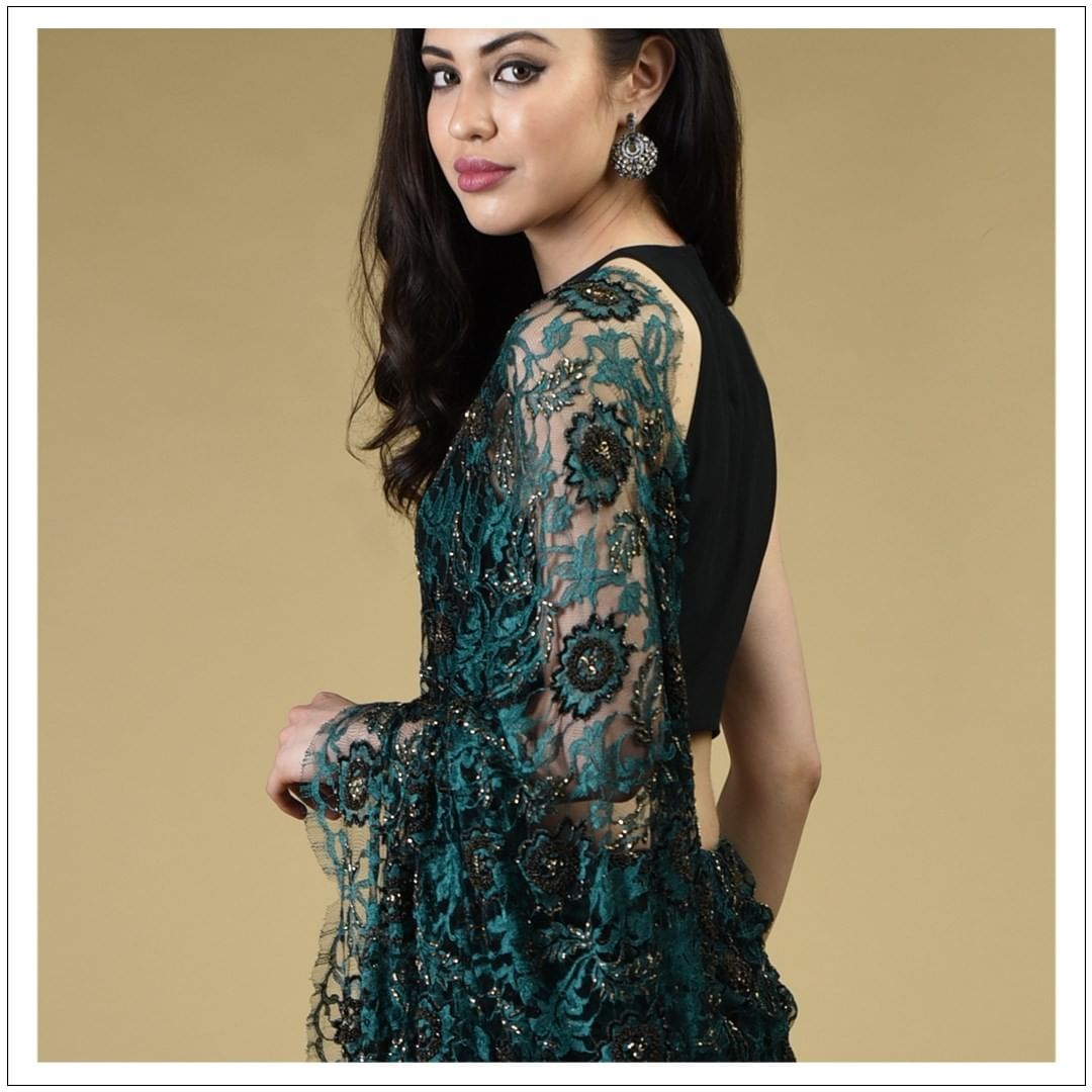 Chantilly lace saree, embellished with stone work, with velvet blouse