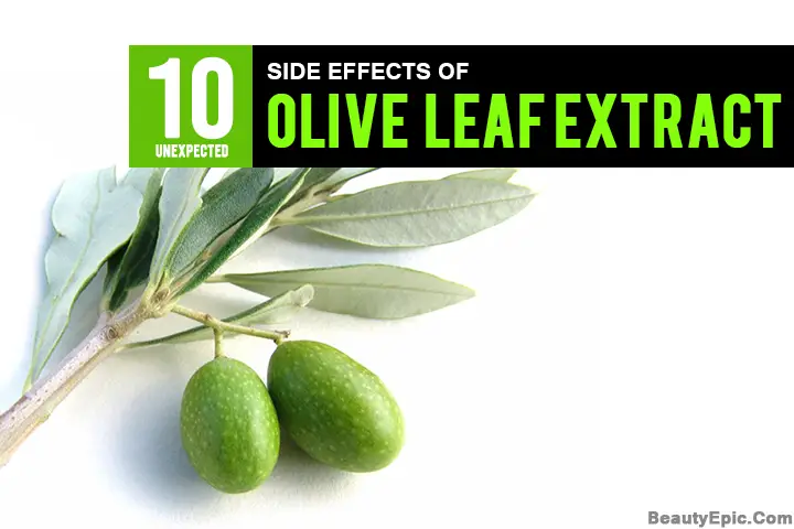 olive leaf extract side effects