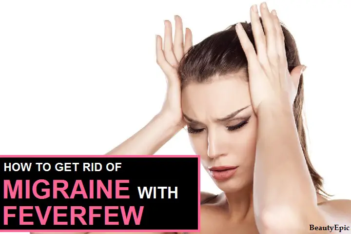 feverfew for migraines