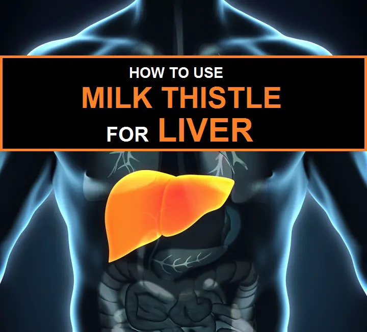 milk thistle for liver