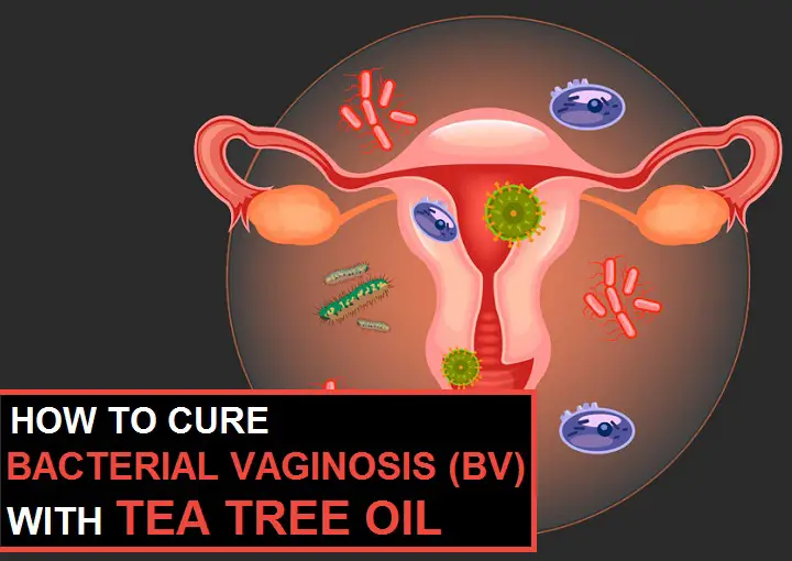 tea tree oil for bv