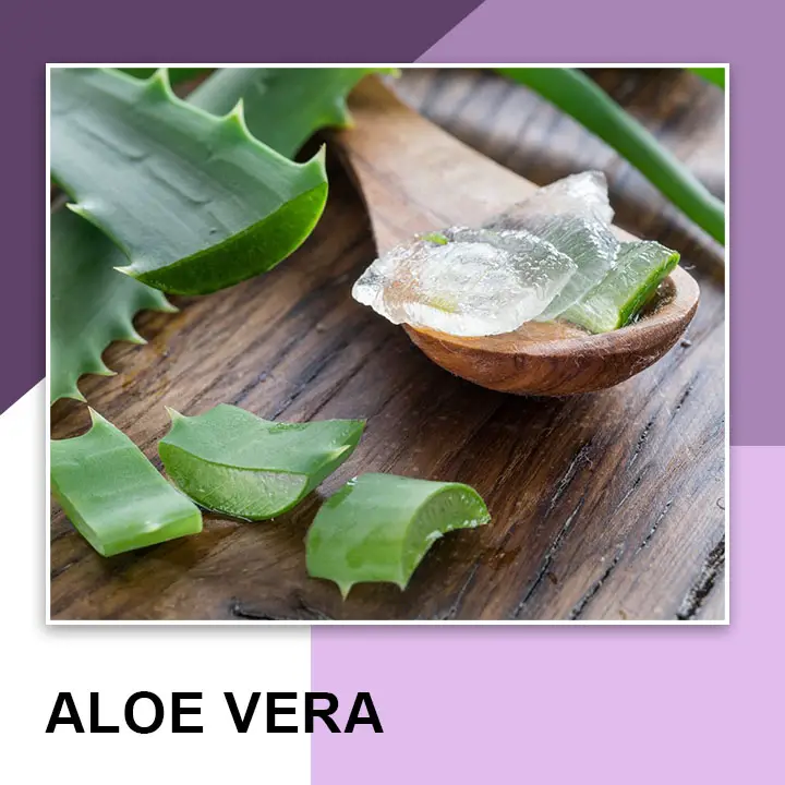 Aloe Vera for Eyebrow Growth