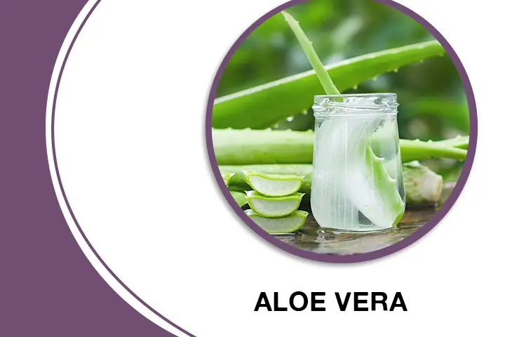 Aloe Vera for Thick Hair