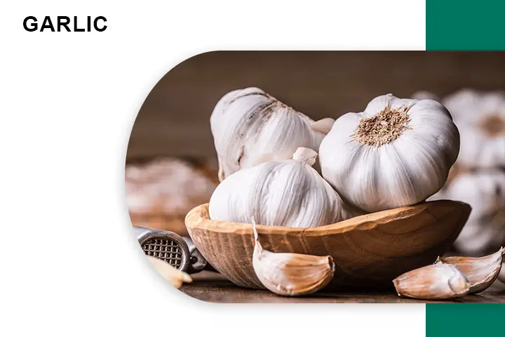 Garlic for Varicose Veins