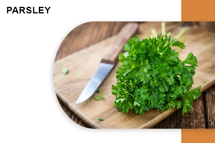 Parsley for Varicose Veins