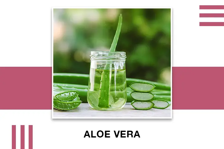 Aloe Vera for Skin Tightening