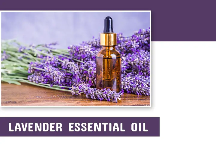 Lavender Essential oil for hair growth