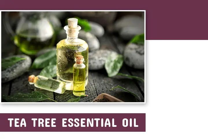 Tea Tree oil for hair growth