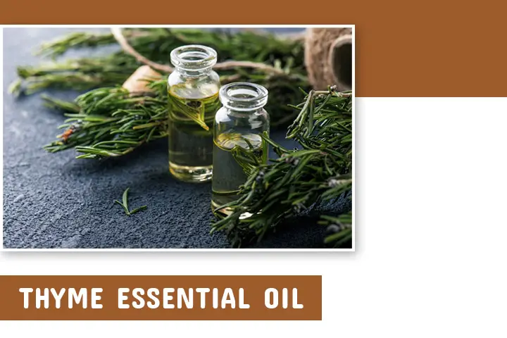 Thyme Essential oil for hair growth