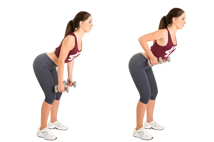 bent over row for back fat