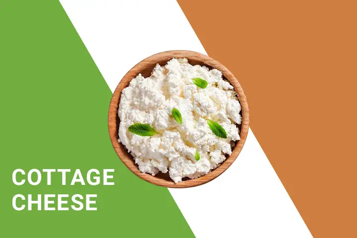 cottage cheese for weight loss