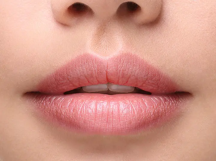 partition lips for lip liner