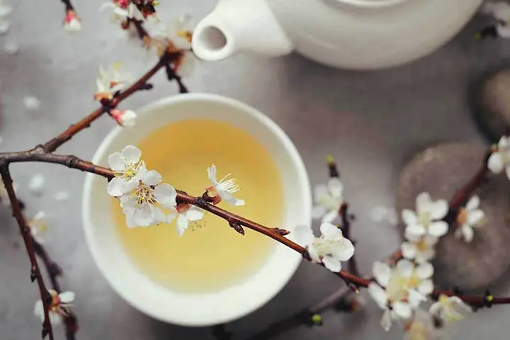 white tea for weight loss