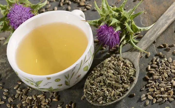 milk thistle detox tea weight loss